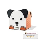 X4 TECH Dogbox - Bluetooth Lautsprecher für Kinder - Kabellos mit Akku - Für Autofahrten und...