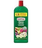 Substral Kübel- & Balkonpflanzen Nahrung, 1,3L, Flüssigdünger mit extra Eisen, für alle...