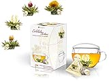 Creano ErblühTeelini Teeblumen Geschenkset mit Teeglas und 8 Teeblumen im Tassenformat, Weißer...