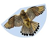 Günther Flugspiele 1230 - Einleiner-Drachen Falke, ca. 92 x 62 cm, Kinderdrachen aus robuster...