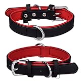 Katze Halsband Space Haustierhalsband -Verlust-Hundehalsband Bequemes Hundehalsband...