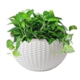 Wandhängendes Blumenblei: Wand-Blumentopf in der Mitte der Wand, im europäischen Stil, hängende...