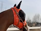 TGW Riding Super Fit Pferdefliegenmaske Pferde Fliegenmaske Horse Fly Mask (L, Orange Heart)