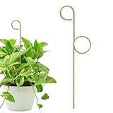 Xistuoz Rankgitter für den Innenbereich – Rankgitter für den Innenbereich – Metallständer...