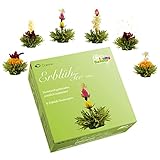 Creano Teeblumen – Erblühtee zum Probieren - grüner Tee fruchtig aromatisiert (6 verschiedene...