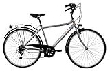 Discovery Herren Trekkingrad Manhattan Herrenfahrrad (28 Zoll), Shimano 6 Gänge, Farbe Silber...