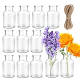 Kleine Glasvasen Small Vase,Pack of 12 Mini Glass Vases,125 ml Small Bottles with Jute Cord, Flower...