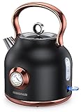 NESSGRAIM Retro Wasserkocher, 1,7L Edelstahl-Teekessel mit Großer Temperaturanzeige, 2200W Schnell...