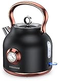 NESSGRAIM Retro Wasserkocher, 1,7L Edelstahl-Teekessel mit Großer Temperaturanzeige, 2200W Schnell...