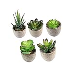 ibasenice 5 Stück Künstliche Sukkulenten Simulation Bonsai Deko für Zuhause Pflegeleicht und...