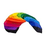 Wolkenstürmer® Paraflex Basic 2-Leiner Lenkmatte 1.2 Rainbow - Kite Drachen mit Flugschlaufen –...