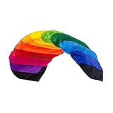 Wolkenstürmer® Paraflex Basic 1.2 (Rainbow) Kite - 2-Leiner Lenkmatte mit Flugschlaufen –...