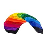 Wolkenstürmer® Paraflex Basic 2-Leiner Lenkmatte 1.2 Rainbow - Kite Drachen mit Flugschlaufen –...