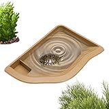 Générique Reptilienschüssel | Becken für Reptilien – Landschaftsbecken groß für Schlangen,...