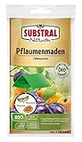 Substral Naturen Pflaumenmaden-Falle zum Abfangen der Pflaumenwicklermännchen, Klebefalle mit...