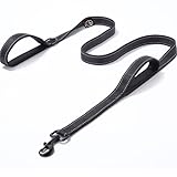Lalazoo RICO Hundeleine Double Handle 180 cm – Trainingsleine mit 2 Griffen & Kurzführer...