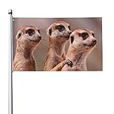 Flagge 3x5 Ft - Fahne Drei braune Erdmännchen - Flaggen Lustig 90x150 - Hissfahne mit Ösen -...