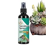 Mihauuke Kakteen Dünger | Kakteen Dünger Für Draußen - 100ml Langzeit-Sprühdünger Für...