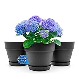 BigDean 3 Stück Blumentopf mit Untersetzer rund ø30 cm in Anthrazit – Übertopf innen + außen...