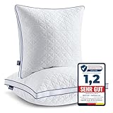 BedStory Kopfkissen 80x80, 2er Set Kissen 80x80 mit Reißverschluss, 2x1500g Mikrofaser Kopfkissen...