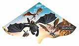 Günther Flugspiele 1212 - Einleiner-Drachen Dragons, ca. 115 x 63 cm, Kinderdrachen aus robuster...