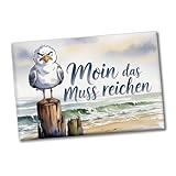 Möwe Aquarell Moin Spruch Souvenir Souvenir Magnet Maritim Dekomagnet für Kühlschrank oder Büro,...