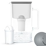 Wessper Wasserfilterkanne Aus Glas 2.5 L Kompatibel Mit Brita Classic-wasserfilterkartuschen |...