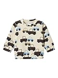 NAME IT Boy Sweatshirt Langarm