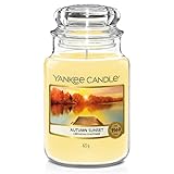 Yankee Candle Autumn Sunset Duftkerze, Große Kerze im Glas, Gelb, 10.7 cm, Sandalwood,Cedar