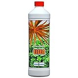 Aqua Rebell ®️ Micro Basic Eisendünger - 1 Literflasche - optimale Versorgung für Ihre Aquarium...