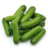 100 Stück grüne Mini-Gurken-Gemüsesamen