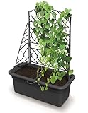Blumenkasten Blumentopf Rankkasten Pflanzkübel Blumenkübel 58 cm mit Rankgitter Hochbeet mit...