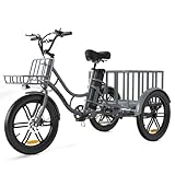 ELEKGO 20 Zoll Elektro-Dreirad, Fettreifen + hinterer Gepäckkorb und Scheinwerfer,Lastenfahrrad,...