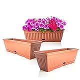 BigDean 3X Blumenkasten Balkon mit Untersetzer - Terracotta 50 cm Balkonkasten Pflanzkasten...