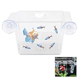 Fischzuchtkasten, Acryl Fisch-Isolationsbox mit Saugnäpfen, Selbstschwimmende Brutstätte für...