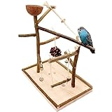 Vogelgaleria® Luxus Vogelspielplatz aus Natur Holz mit Abnehmbarer Futterschale | Ideales Spielzeug...