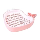 Hydrokultur-Katzengras Soilless-Sprossentablett – Belüfteter Pflanzkübel mit Abfluss |...