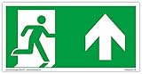 Schild Notausgang | extra langnachleuchtend | PVC selbstklebend 297x148mm | gemäß ASR A1.3 DIN...