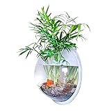 JFBUCF Wandbehang für Aquarium, Acryl, Wandmontage, Fischschale, Aquarium, Betta, Fischblase,...