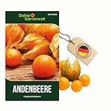 Physalis Andenbeere Kapstachelbeere Samen - Physalis peruviana - Andenbeerensamen - Obstsamen -...