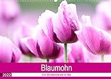 Blaumohn - Ein Blütentraum in lila (Wandkalender 2022 DIN A2 quer) [Calendar] Verena Scholze,...