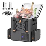 LiTHELi FrozenPack Kompressor Kühlbox 20L mit AC DC Adapter, 12/24V 100/240V Rucksackkühlschrank...