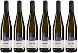 Peter Landmann Gutedel DOCTOR FAUSTUS 2023 Halbtrocken Bioland Bio (6 x 0.75 l)