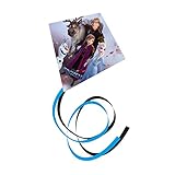 Günther Flugspiele 1155 - Einleiner-Drachen Disney Frozen, ca. 70 x 70 cm, Kinderdrachen aus...