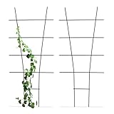 Relaxdays Pflanzenstütze, 2er Set, Rankhilfe Metall, Blumentopf & Pflanzkübel, HxB: 79x35 cm,...