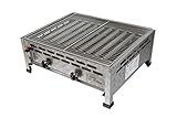 ACTIVA Gastro Gasgrill 2 Brenner – Robuster Gasbräter aus Edelstahl mit 2x5kW Leistung I Ideal...