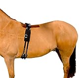 Hunters Saddlery Deluxe Longiergurt aus gepolstertem Nylon für Pferde – Größe Vollblut (Cob)