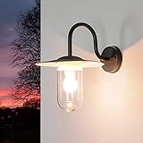 Licht-Erlebnisse Außenwandleuchte Metall Glas in Anthrazit IP44 Outdoor Garten T:34 cm E27...