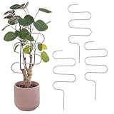 KADAX Rankhilfe aus Metall, 3 Stück, Rankgitter für Zimmerpflanzen und Topfpflanzen,...