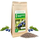 Purgrün® Bio-Pflaumenbaum-Dünger | Organisch-mineralische Rezeptur | Feinkörniges...